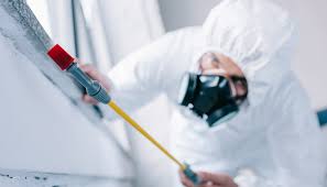 Reliable New Orleans, LA Pest control Solutions